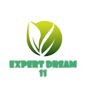 Expert 11 Dream icon