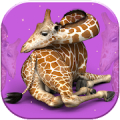 3D Animales Fondos de Pantalla APK