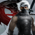 Ninja Assassin Mod