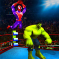 Superhero Wrestling Battle Arena Ring Fighting icon