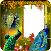 Peacock Insta DP Maker Mod APK