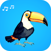 Song of toucan Mod APK