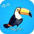 Song of toucan Mod