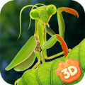 Mantis Insect Life Simulator icon