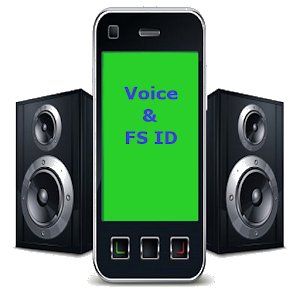 Voice Full Screen Caller id Mod