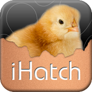 iHatch-Chickens Mod