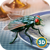 Insect Fly Simulator 3D Mod