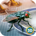 Insect Fly Simulator 3D icon
