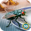 Insect Fly Simulator 3D Mod