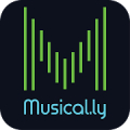 Magic.ly : MusicBit Lyrical Video Status Maker Mod