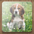 Dog Puzzle Games APK