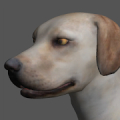 Labrador Pose Tool 3D icon