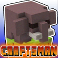 Main Craftsman Mod