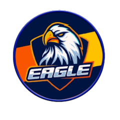 EAGLE VPN V2 Mod APK