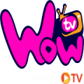 WOW TV Mod