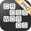 Crucigramas 10 Pro icon