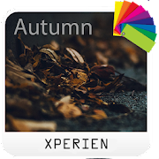 Theme XPERIEN™ - Autumn Mod