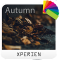 Тема XPERIEN™ - Autumn Mod