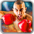 Play Boxing Games 2016 Mod