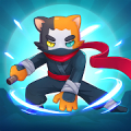 Ninja Flash Mod