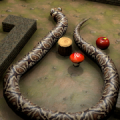 Nova Snake 3D Mod