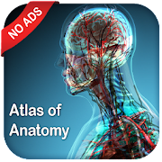 Gray's Atlas of Anatomy Pro (No Ads) Mod