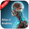 Gray's Atlas of Anatomy Pro (No Ads)‏ Mod