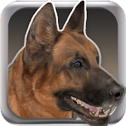 My Dog: Dog Simulator Mod Apk
