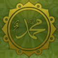 Hadith Every Day Pro icon